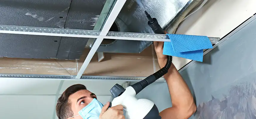 Our Air Duct Rodent Removal Services in Lennox, CA