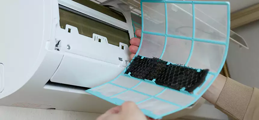 Gentle Ductwork Odor-Control Pet Dander Duct Cleaning in Lennox, CA