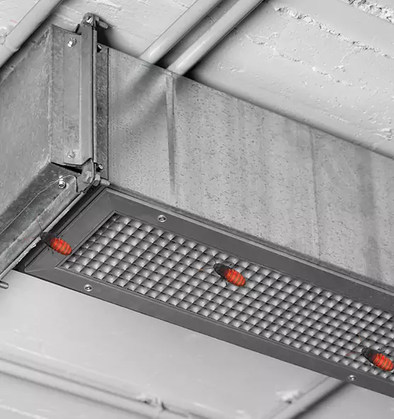 About Air Duct Cockroach Removal in Lennox, CA