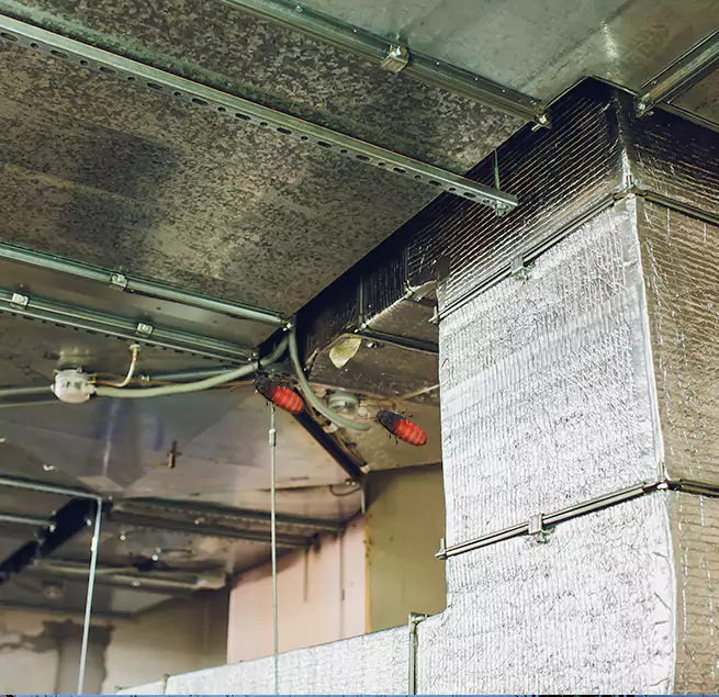 Why Homeowners & Businesses Trust Us Lennox, CA?